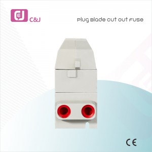 1P 60-100A Home Service Cut out Fuse Protection