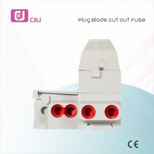 1p+N 60-100A Plug Blade Cut Out Fuse
