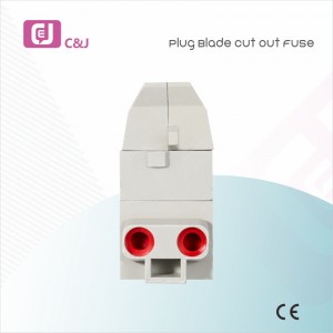 1P 60-100A Home Service Cut out Fuse Protection