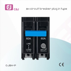 Bh-P 1-4P Plug-in Miniature Circuit Breaker MCB Manufacturer