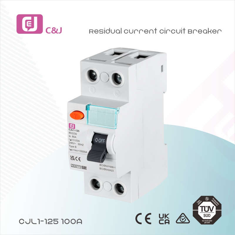 CJL1-125-B 100A 2p RCCB ELCB MCB Residual Current Circuit Breaker