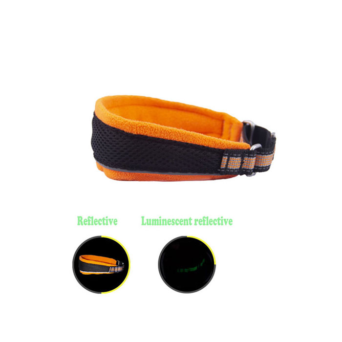 pet products safety gear Dog collar Featured Image