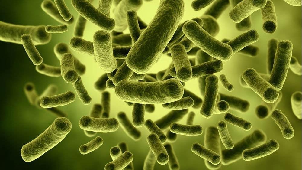 ¿Los antiespumantes tienen un gran impacto en los microorganismos?