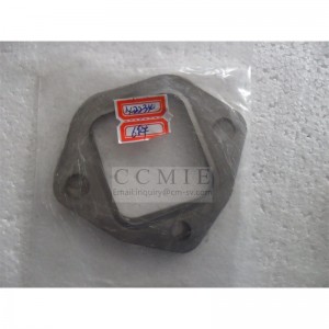 142234 Exhaust pipe gasket