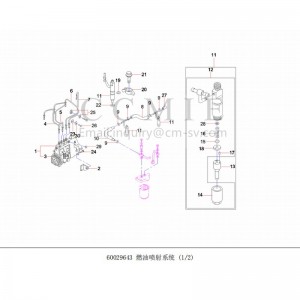 60029643 Fuel Injection System