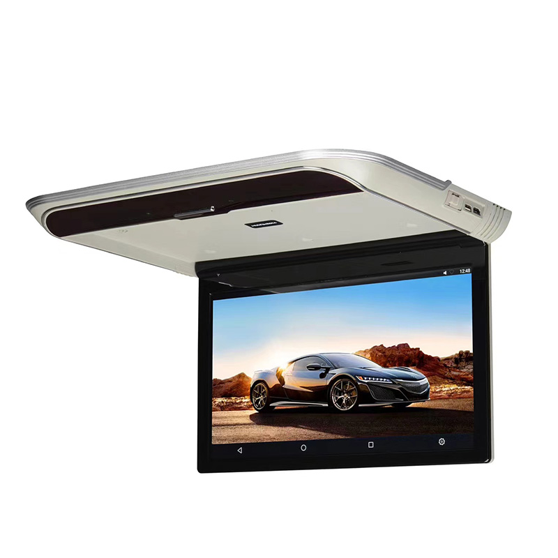 11.6 INCH Roof Mount Flip Down Monitor