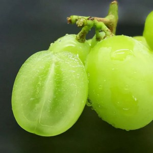 လတ်ဆတ်တောက်ပသော Muscat Green စပျစ်သီး - ချိုမြိန်သော၊ အရည်ရွှမ်းသော၊ ပြတ်သားပြီး နှင်းဆီရနံ့