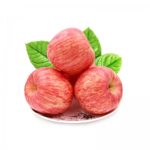 Свежо црвено овошје од јаболко Фуџи – слатко, сочно и тенка кожа