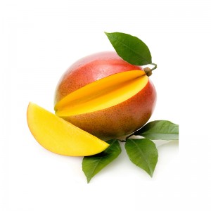 Taze Mango Meyvesi – Tatlı, Sulu ve Çoklu Etkinlik