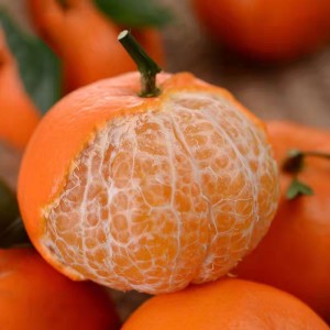 Свежо цитрусно овошје мандарински портокал - слатко, сочно и вкусно