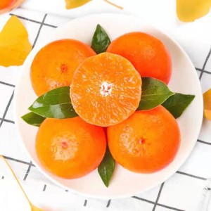 Tangerina de frutas cítricas frescas – doce, suculenta e saborosa