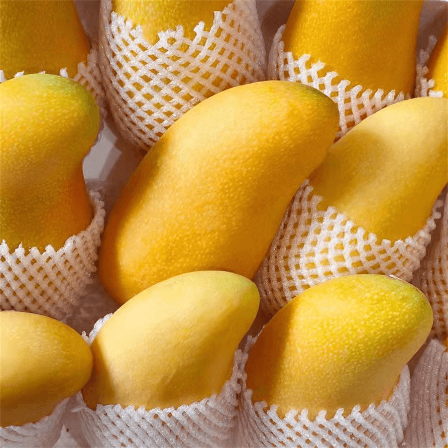 Mango nasıl olgunlaştırılır?