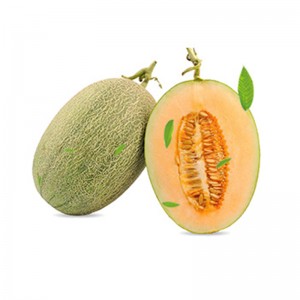 Färsk cantaloupefrukt – söt, krispig och...