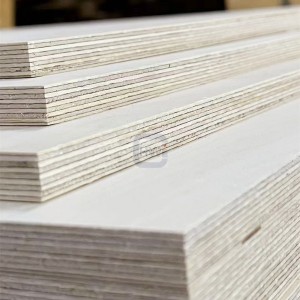 Plena Birch Plywood