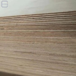4 x 8 Baltic Birch Plywood