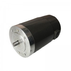 110mm Dc 24v 110v 220v 200w 500w 3000rpm Permanent Magnet Dc Motor With Double Bearing And 12-14mm Shaft