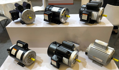 Single-phase and three-phase general purpose electric motors