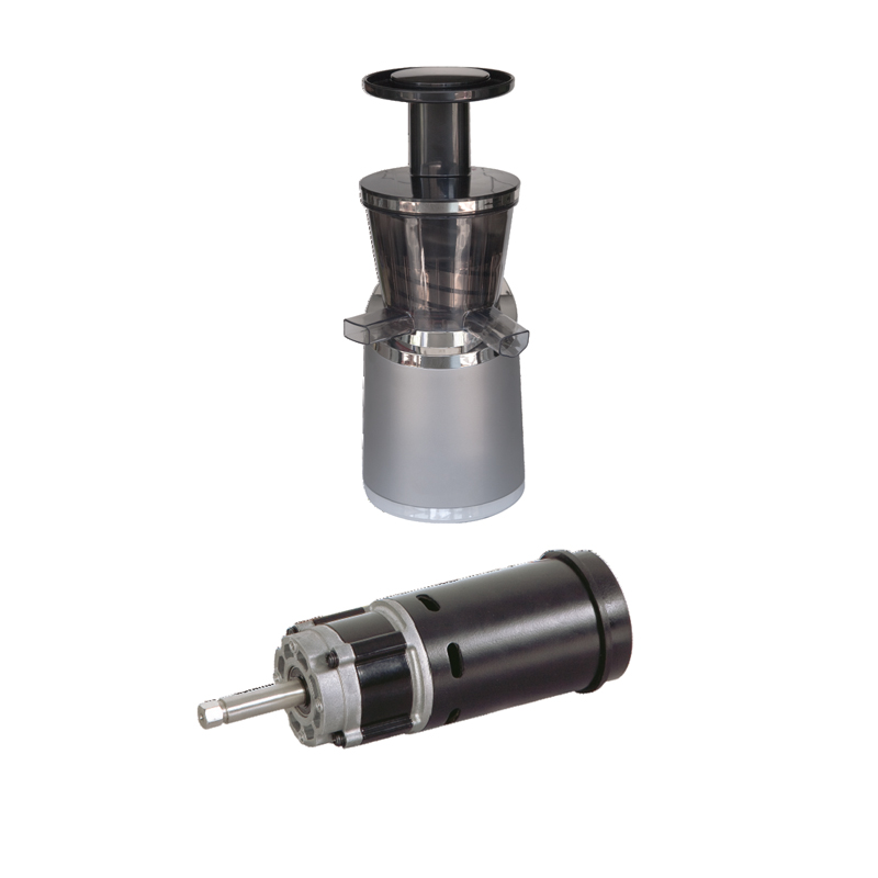 A high torque low speed PMDC gear motor for juicers