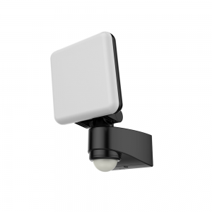 Wall Mounted Flood Lamp Angle Adjustable LED Motion Sensor Light