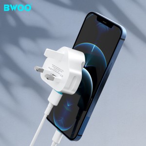 Dual USB Phone Charger
