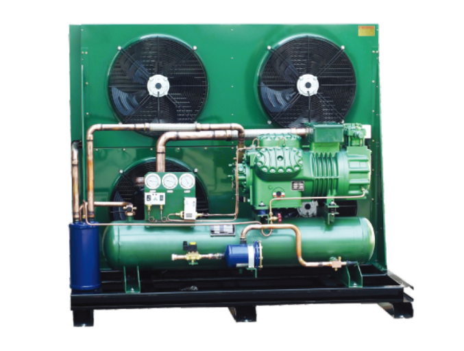 Hot Sales Bitzer Compressor 4EES-6 Large Refrigeration Air Cooled Condensing Unit For Cold Storage Featured Image