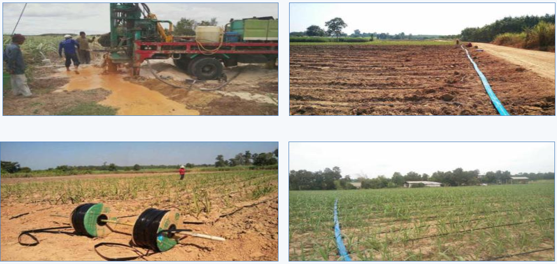 Droppbevattningsprojekt för att plantera sockerrör i Thailand