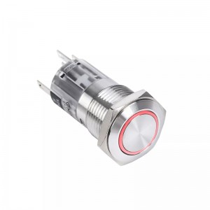 Метален 16 мм, не'рѓосувачки челик 1NO1NC прекинувач за притискање на копче за притискање на моментално заклучување со прстенест LED светло PM164F(H)-11E/S