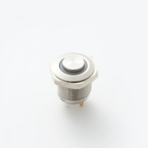 ELEWIND осветлено метално копче од не'рѓосувачки челик Моментарен тип 1NO (PM161H-10E/J/R/12V/S)
