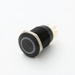 ELEWIND 19 მმ SPDT მომენტალური ან ჩამკეტი PUSH ღილაკის გადამრთველი LED განათებით (PM193F-11E/B/12V/S)