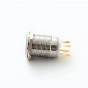 ELEWIND 19mm SPDT 순간 또는 래칭 PUSH 버튼 스위치(LED 조명 포함)(PM193F-11E/B/12V/S)