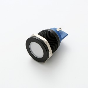 22mm kov s plochou hlavou Černá mosaz nebo nerezová ocel nebo poniklovaná mosaz IP67 LED Indicator Light pilotní signální světlo (PM22F-D)