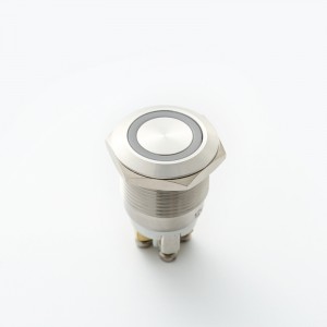 ELEWIND 19mm comutator cu buton cu lumină LED iluminată inel 1NO momentan Metal din oțel inoxidabil (PM191F-10E/R/12V/S)