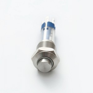 ELEWIND 10mm តូច/តូច មួយរំពេច ឬប្រភេទ latching metal ដែកអ៊ីណុក ជាមួយនឹង ring Illuminated light button switch (PM10H-11E/S)