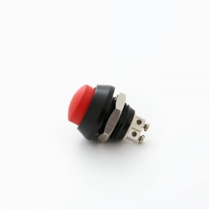 ELEWIND 12mm Sakelar tombol tekan kepala berwarna-warni sesaat 1NO (PM121H-10/△/A)