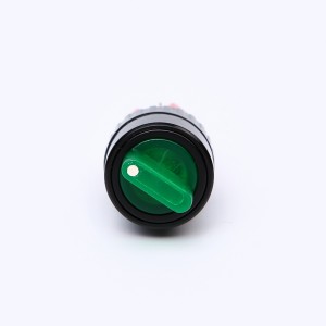 ELEWIND 16mm Plastic 6 PIN terminal Round Shape Selector switch 2 positionរក្សា (PB162Y-11X/21)