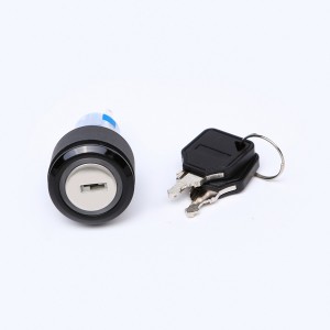 ELEWIND 22 mm Kunststoff 5-poliger Anschluss 2 Position beibehalten Runder beleuchteter Schlüsselschalter (PB223PY-11Y/21A/G/12V)
