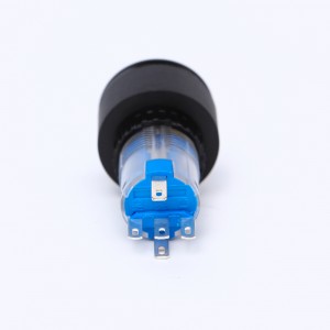 ELEWIND 22mm plastikinis 5 PIN gnybtas 2 padėties palaikymas Apvalus apšviestas rakto užrakto jungiklis (PB223PY-11Y/21A/G/12V)