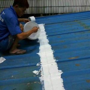 Hoog-elastische-anti-scheur-waterdichte-coating-8