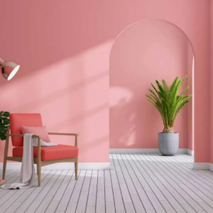 رنگ امولسیونی دیوار داخلی خانه قابل شستشو
