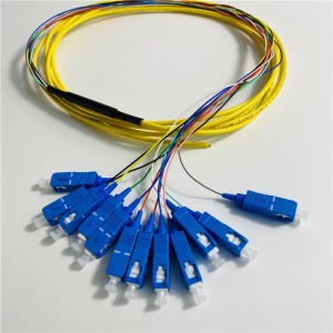 Coletas de fibra óptica de paquetes de 12 núcleos