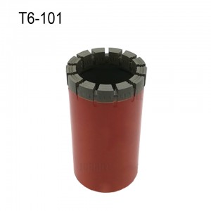 T6-101 T6-116 T6-131 T6-76 डायमंड बिट