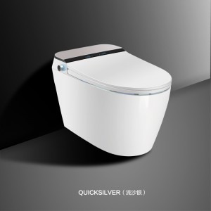 Tam İşlevli 300mm Çukur Mesafesi Akıllı Tuvalet