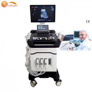 Hot sale Doppler Ultrasonography - CE echo machine phased array probe trolley color Doppler ultrasound – Sunbright