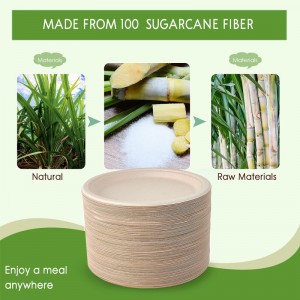 Suncha 10 inch Super Strong Paper Plates