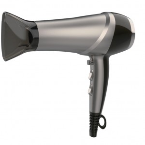 Professional Hair Dryer With Concentrator