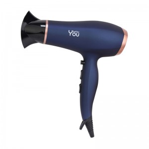 Hair Dryer Ionic Function With DC Motor And Removable Filter Hair Blower