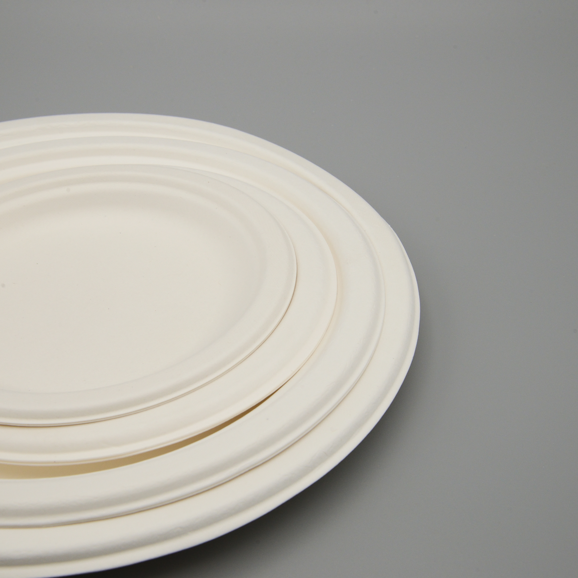 Plate Bagasse Tray Sugarcane Disposable