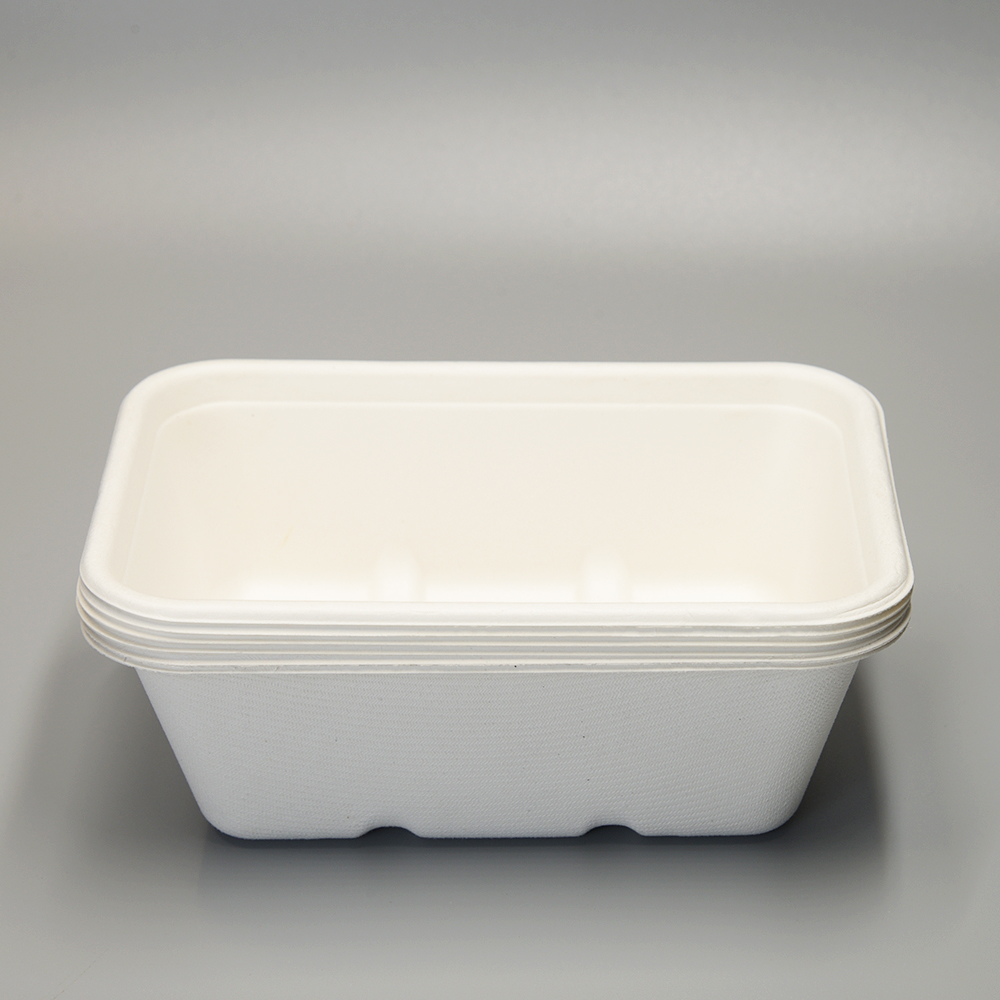 Jednorázový kompostovatelný obědový box z cukrové třtiny s víkem