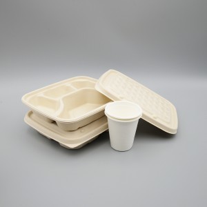 Disposable Sugarcane Bagasse 3 Compartments Biodegradable Food Container