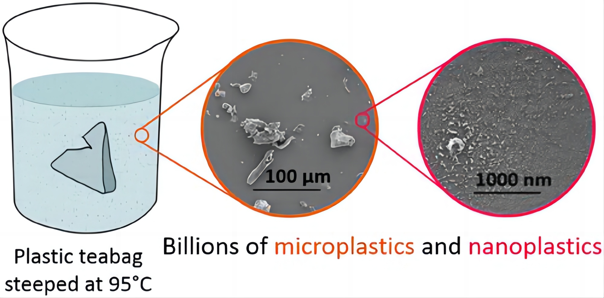 I-Plastic Teabags Ikhipha Amabhiliyoni Ama-Microparticles nama-Nanoparticles abe Yitiye